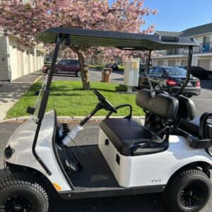 ezgo txt