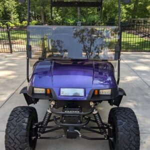 ezgo txt