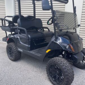 yamaha drive 2 ptv